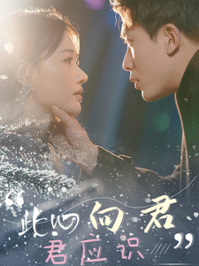 此心向君君应识 第12集