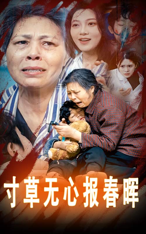 寸草无心报春晖 第2集