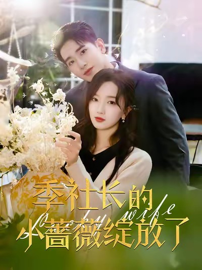 季社长的小蔷薇绽放了 第11集