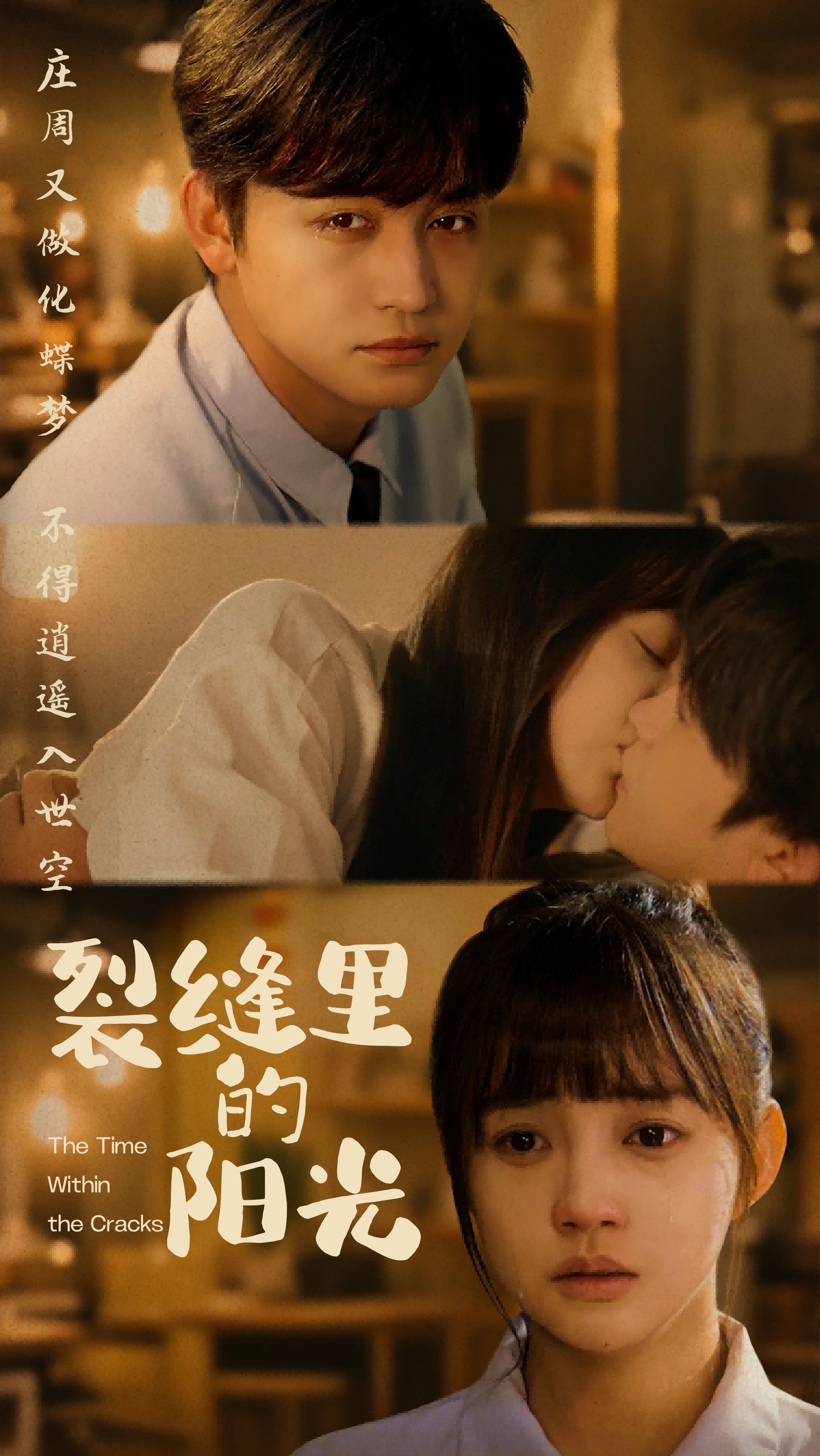 裂缝里的阳光(全集)