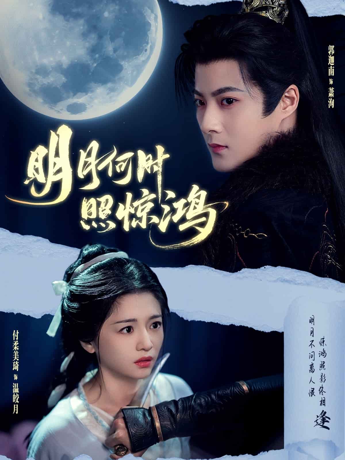 明月何时照惊鸿(全集)