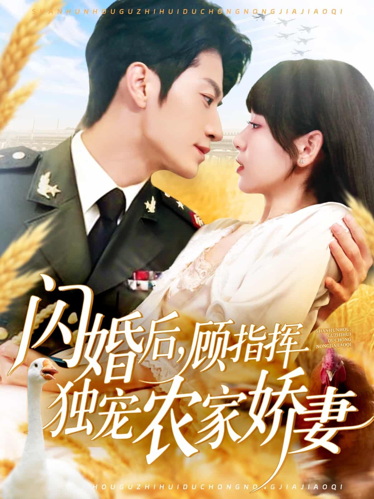 闪婚后顾指挥独宠农家娇妻(全集)