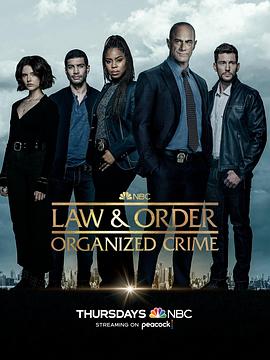 法律与秩序·组织犯罪第三季 第7集