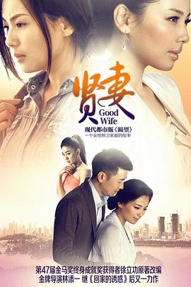 贤妻2013 第11集