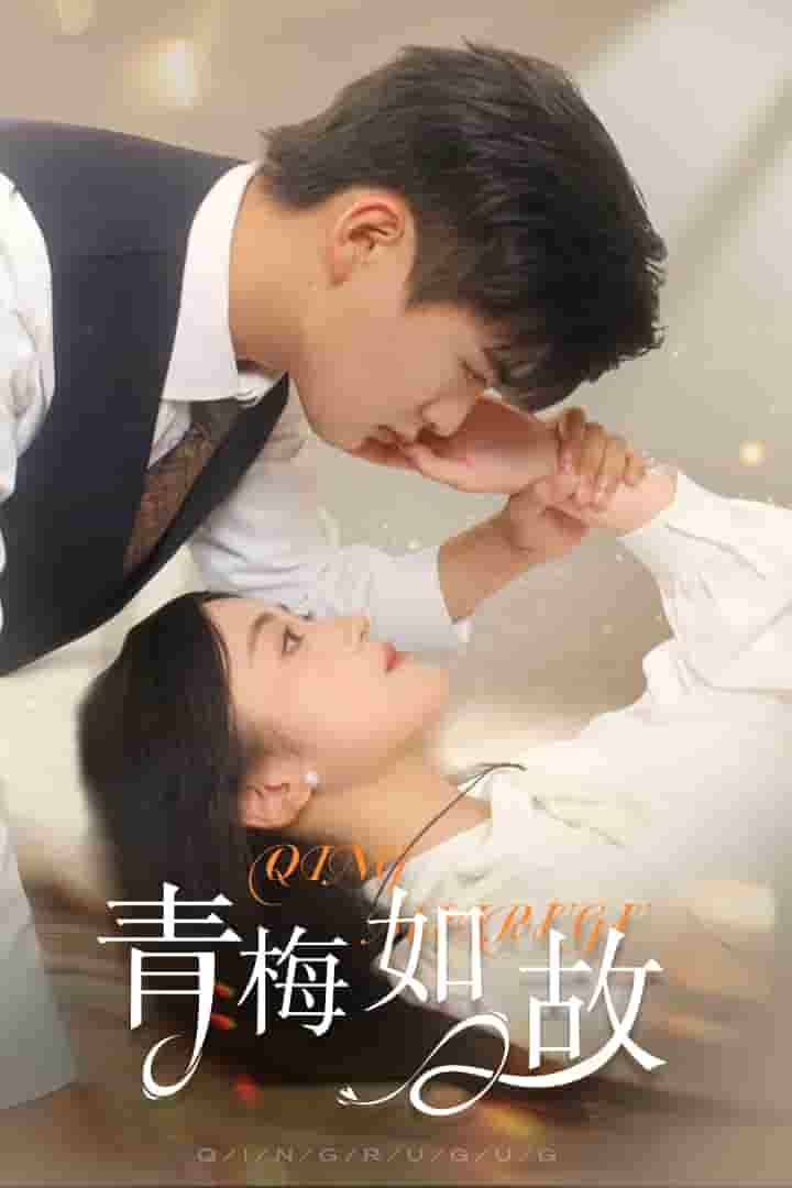 青梅如故 第21集