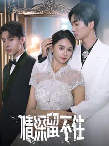 情深留不住 第01集