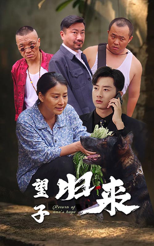 望子归来 第43集