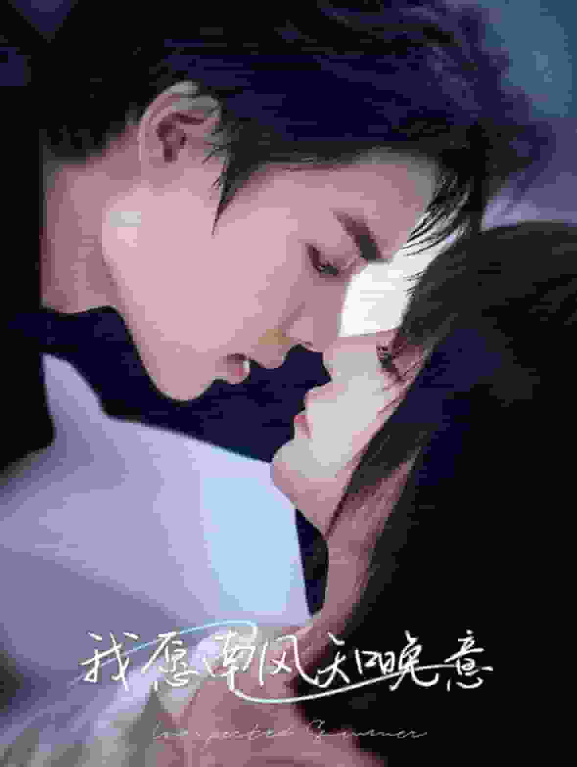 我愿南风知晚意 第36集