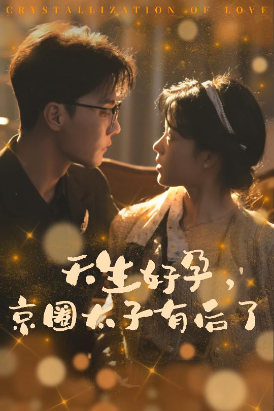 天生好孕京圈太子有后了 第13集
