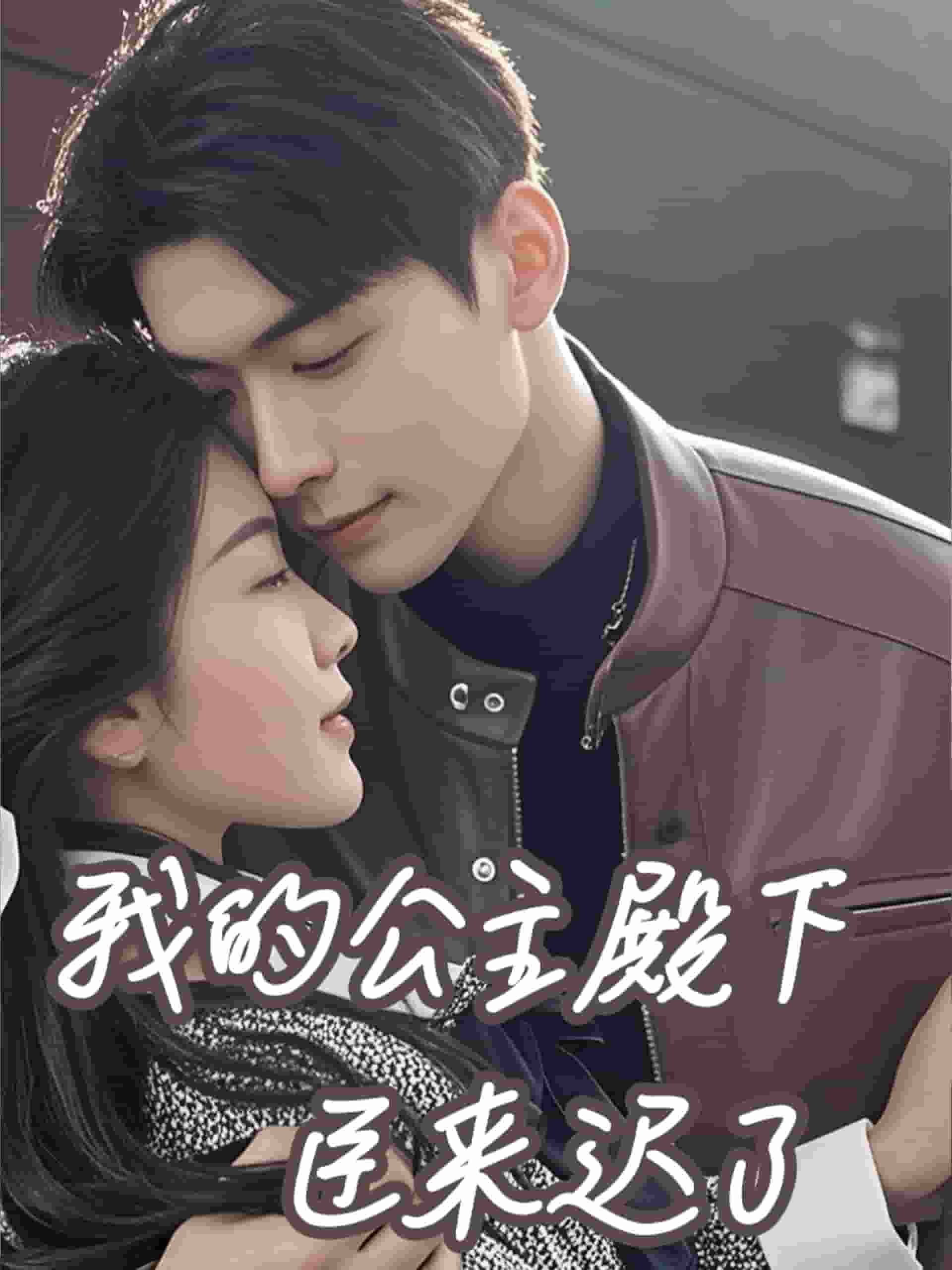 我的公主殿下臣来迟了 第67集