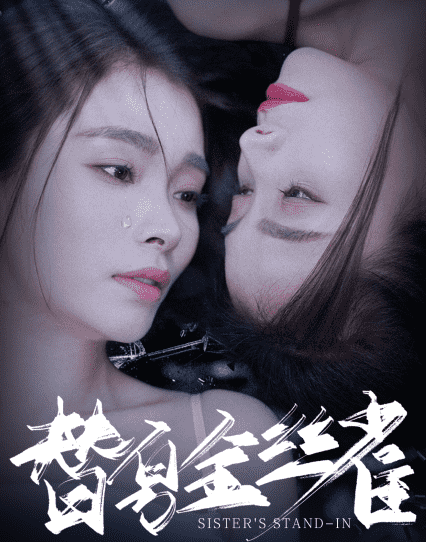 替身金丝雀 第41集