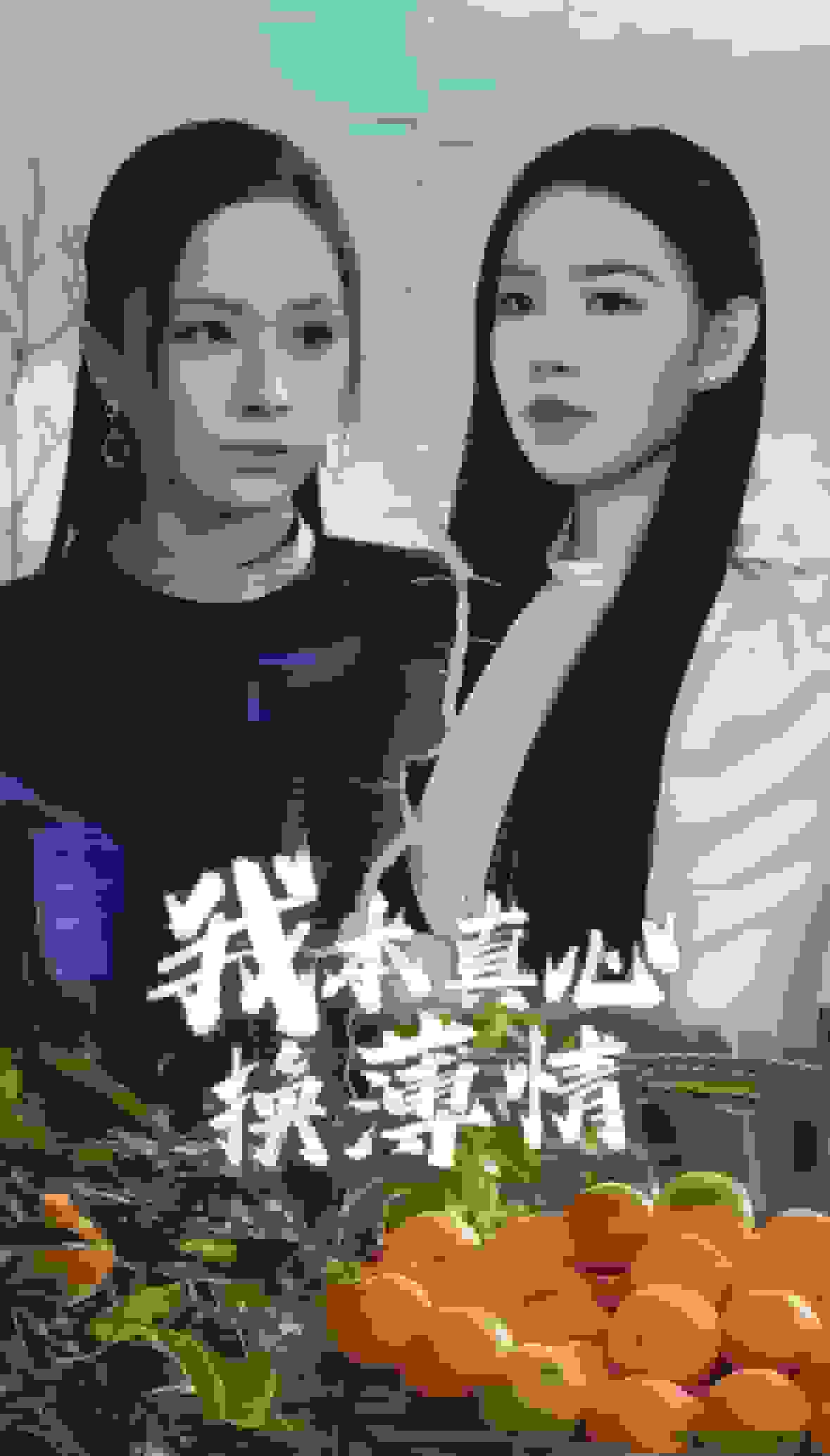 我本真心换薄情 第6集