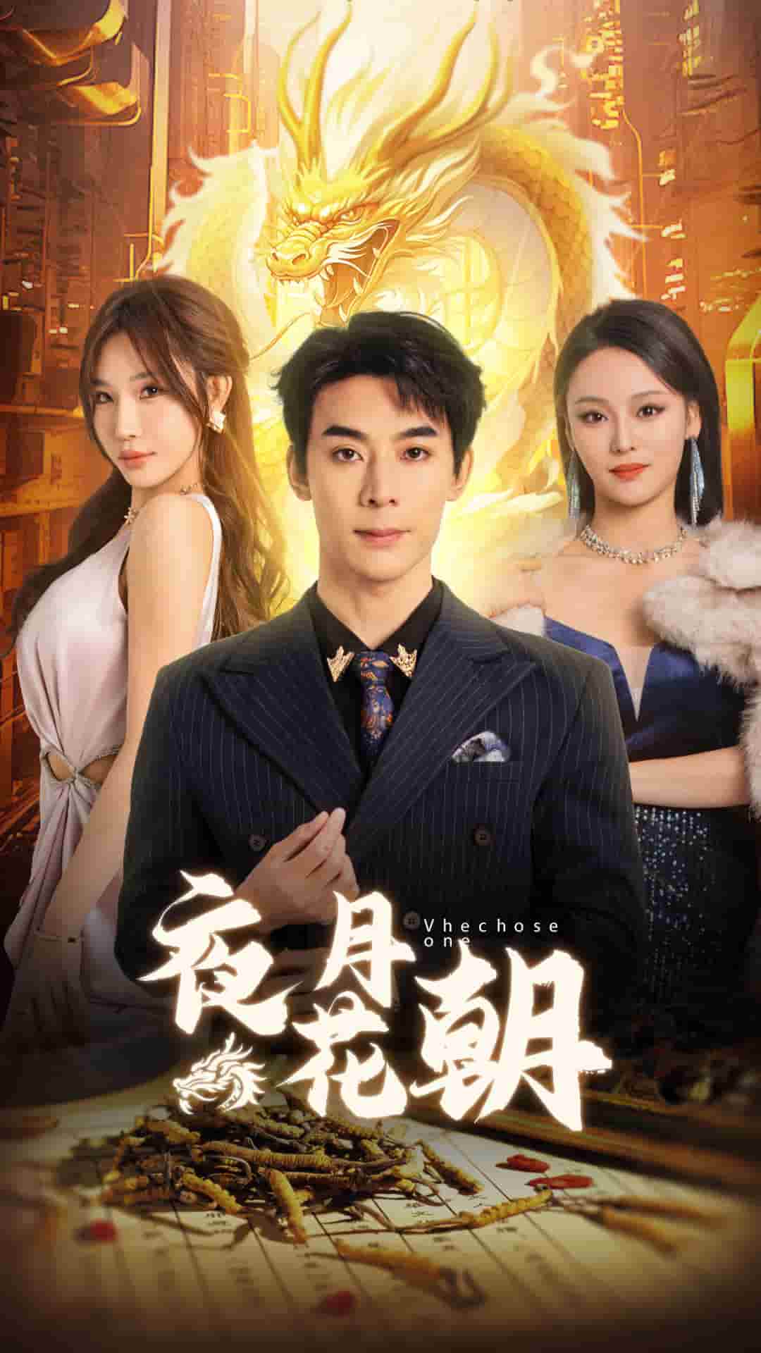 夜月花朝 第21集