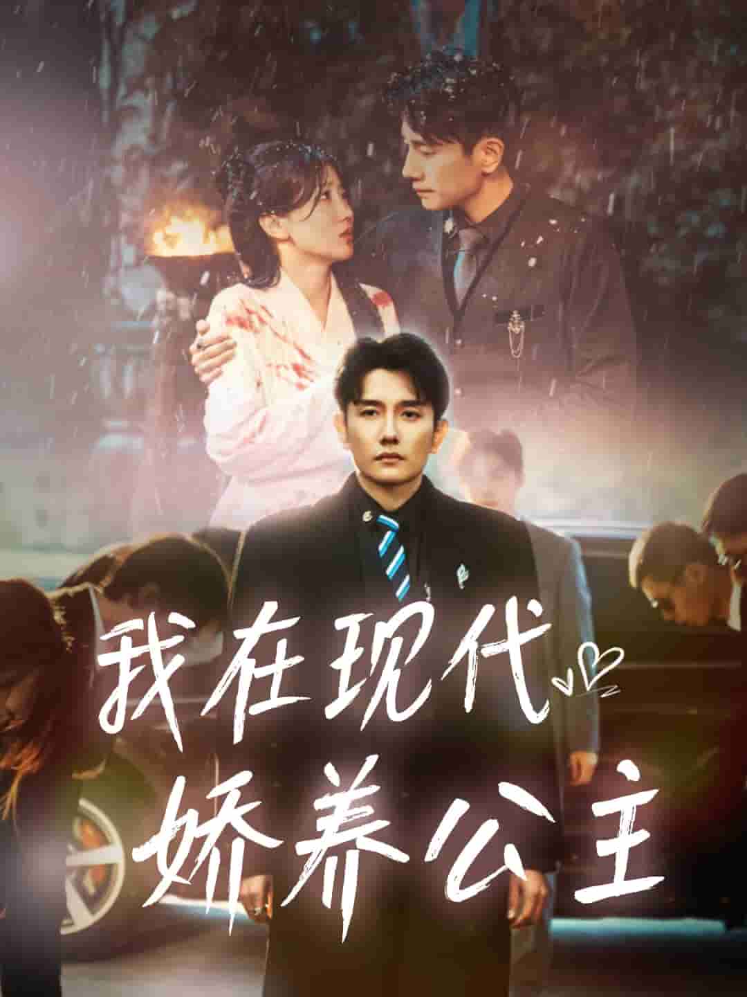 我在现代娇养公主 第25集