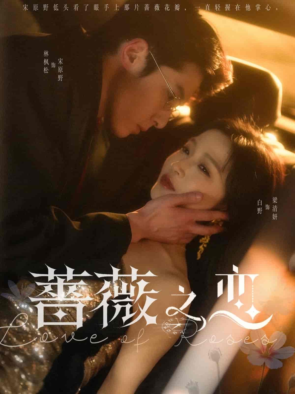蔷薇之恋 第15集