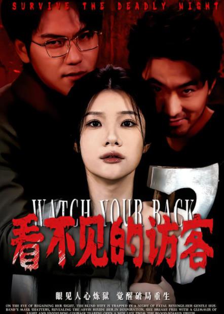 看不见的访客 第17集