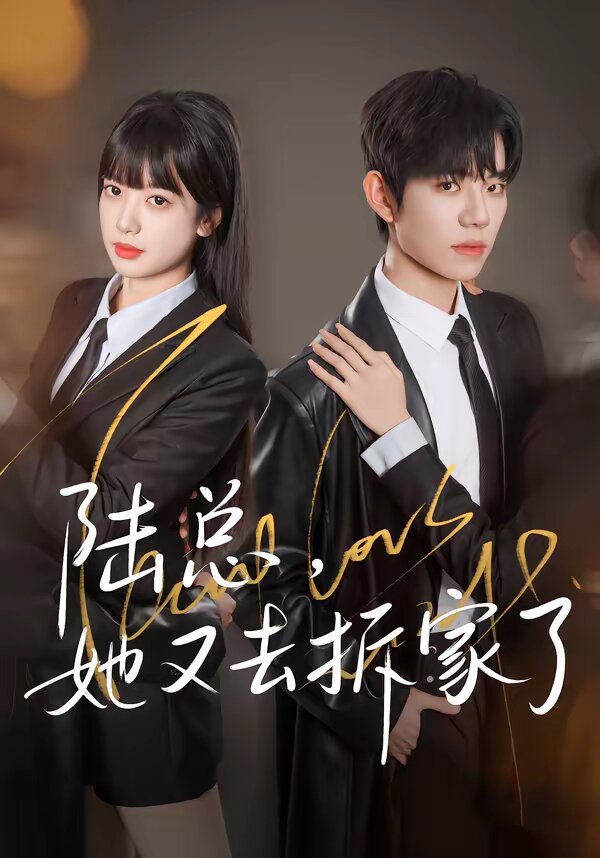陆总，她又去拆家了 第37集
