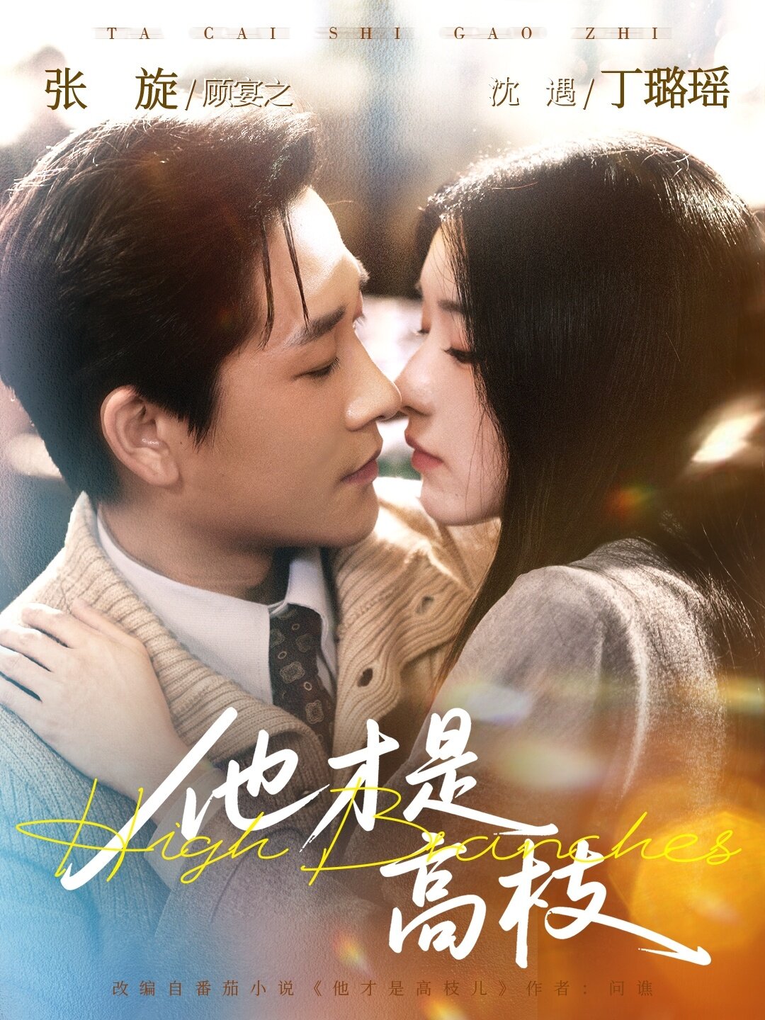 他才是高枝 第30集